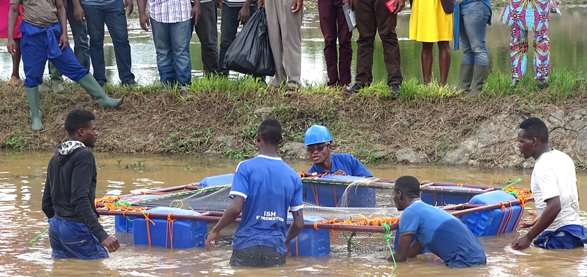 Des aquaculteurs à l'école de la fabrication et de l'installation d'une cage à élevage de poisson