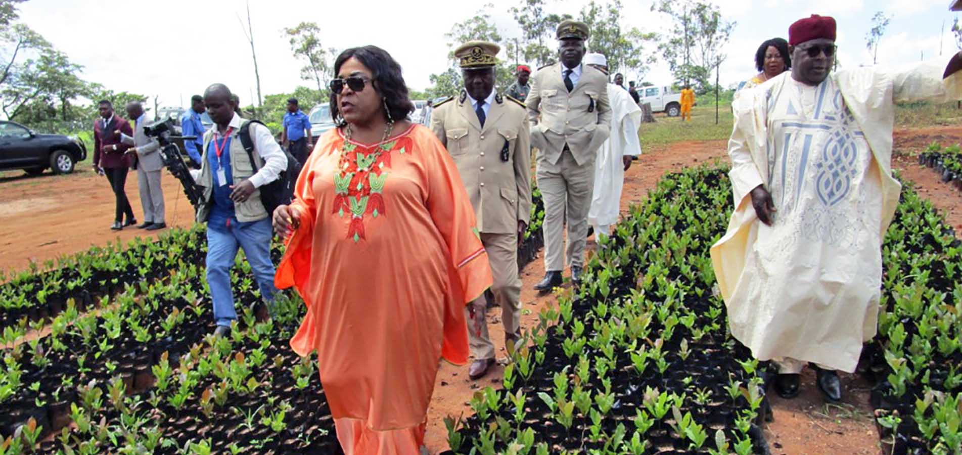 Mme le MINRESI, Dr Madeleine TCHUINTE visite la pépinière des plants d'anacardier au Centre IRAD-Wakwa